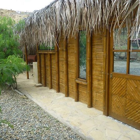 Oceanic Bungalows Los Órganos Kültér fotó